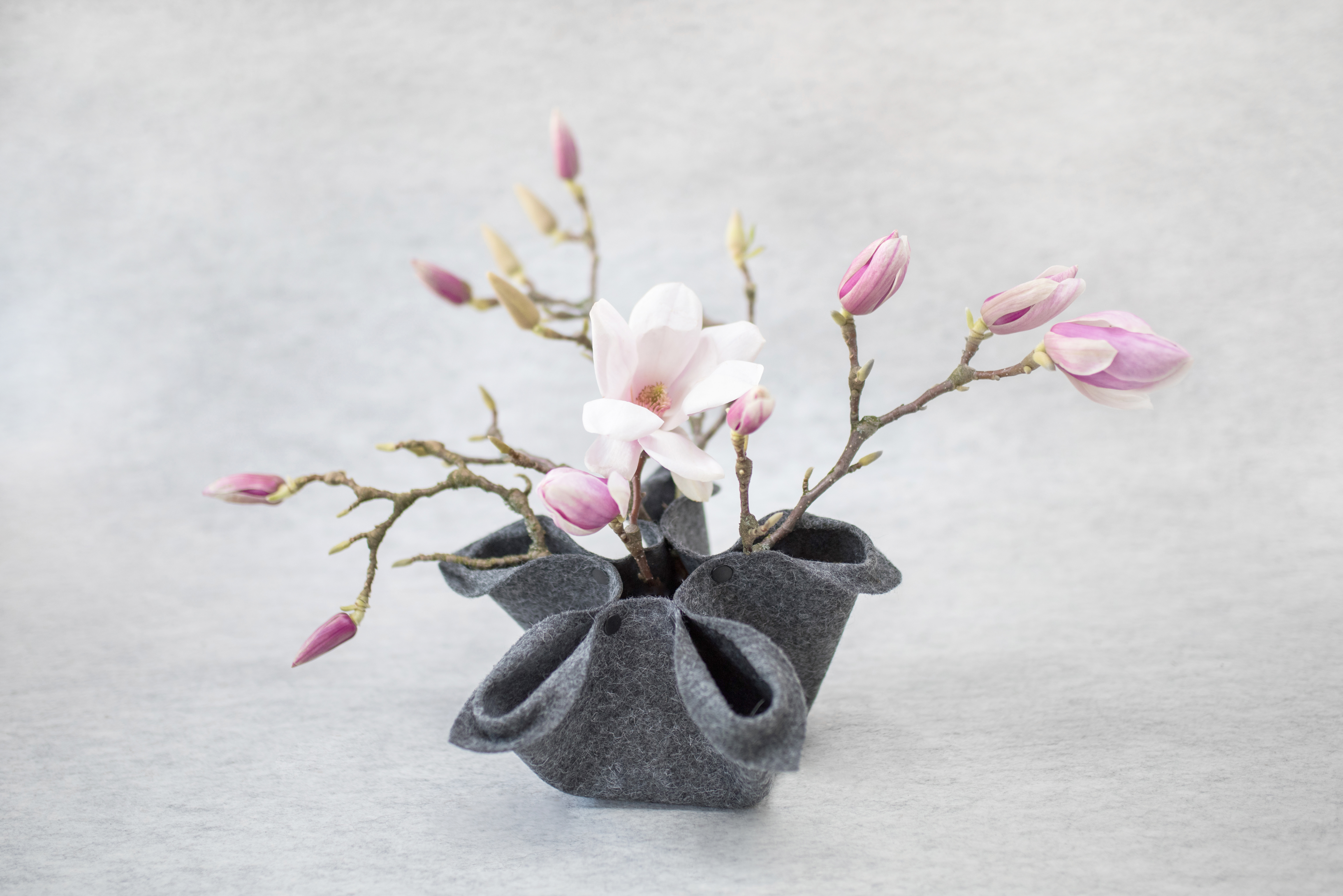 Florero Vase 2.0 mit hübschen Magnolienästen bestückt